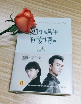 如果蜗牛有爱情,设计策略快速解答_VR型43.237