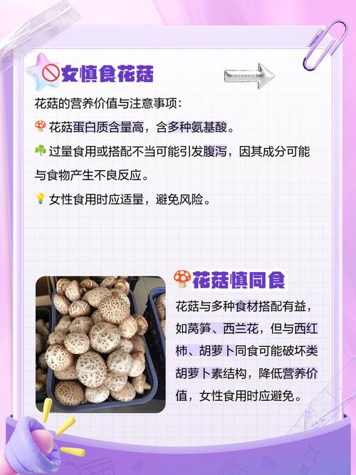 花吃了那女孩人物关系图,设计策略快速解答_整版DKJ656.74