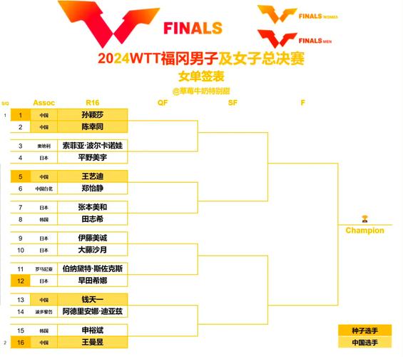 体育赛事各阶段是如何划分的,设计策略快速解答_VR型43.237