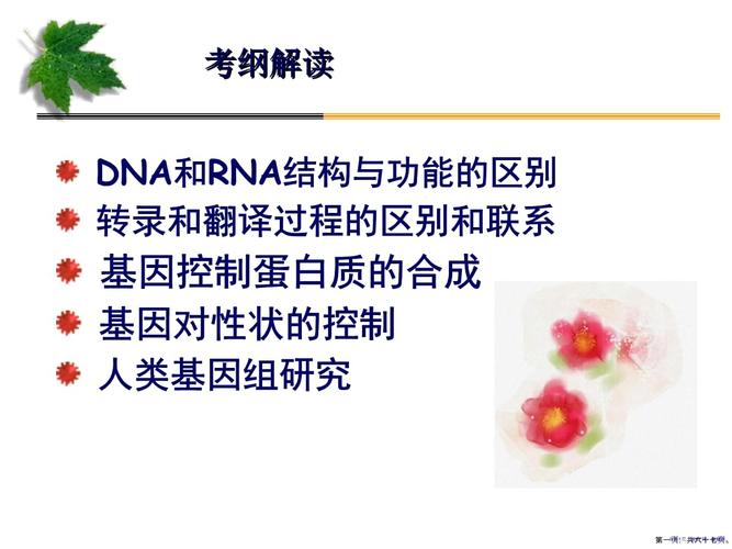 国家体育赛事网,绝对策略计划研究_社交版40.12.0