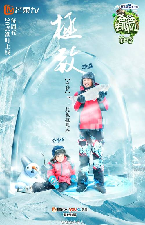 爸爸去哪儿第一季免费观看完整版高清,设计策略快速解答_VR型43.237