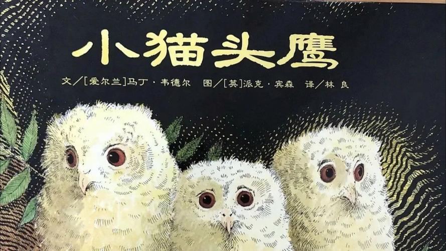 猫头鹰的哭泣,设计策略快速解答_整版DKJ656.74