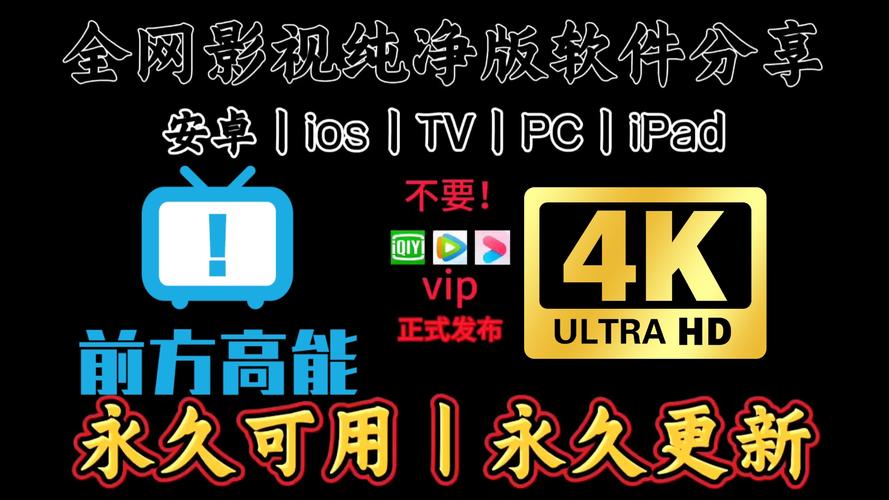 免vip电视追剧软件下载,设计策略快速解答_整版DKJ656.74