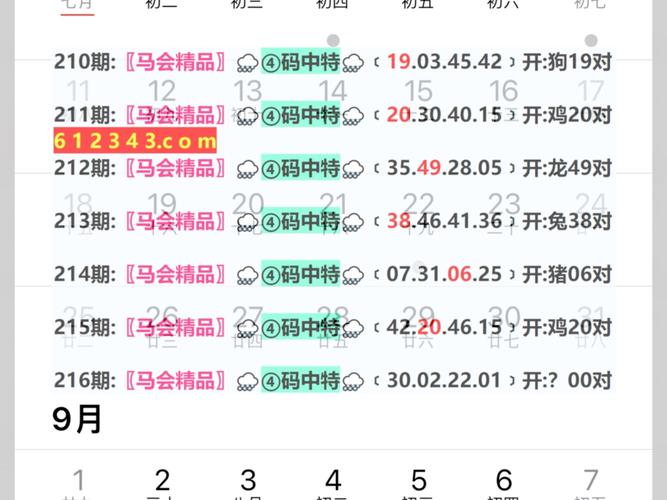 澳门特马准确资料,设计策略快速解答_VR型43.237