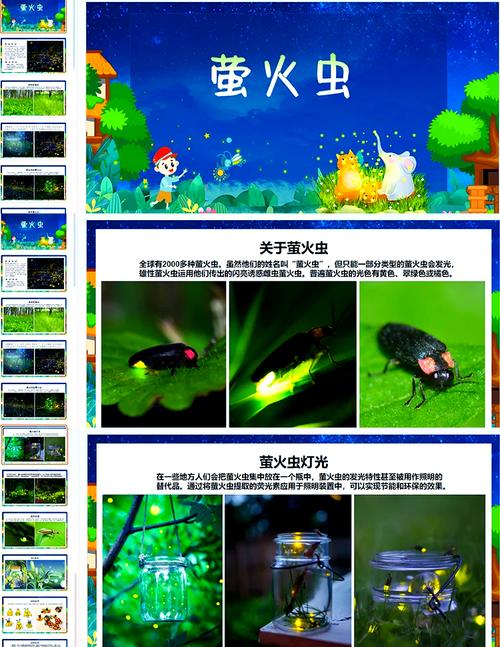 花园里的萤火虫,设计策略快速解答_整版DKJ656.74