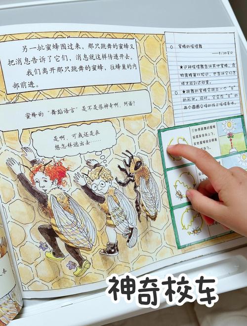 蜜蜂的秘密生活,设计策略快速解答_VR型43.237
