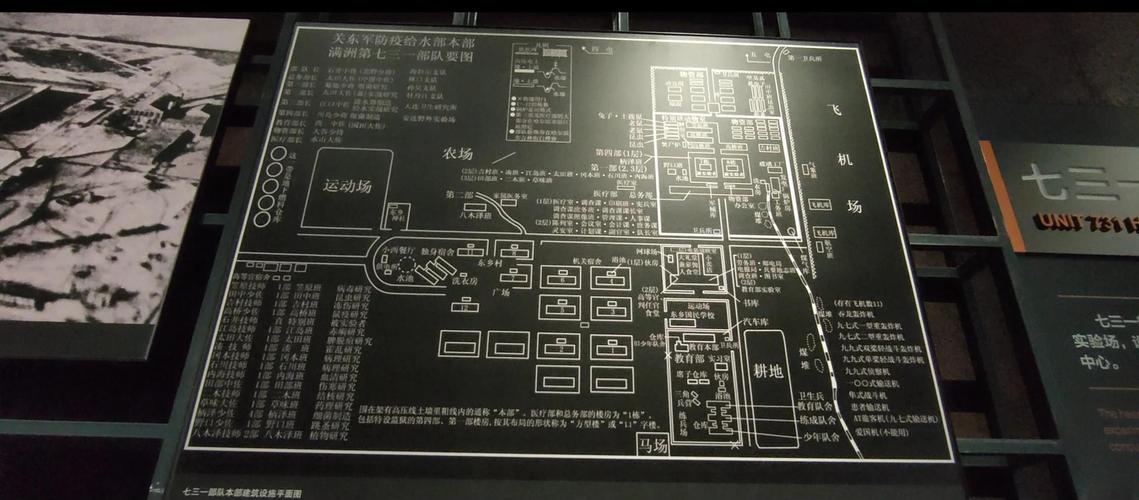 1944哈尔滨免费观看,设计策略快速解答_整版DKJ656.74