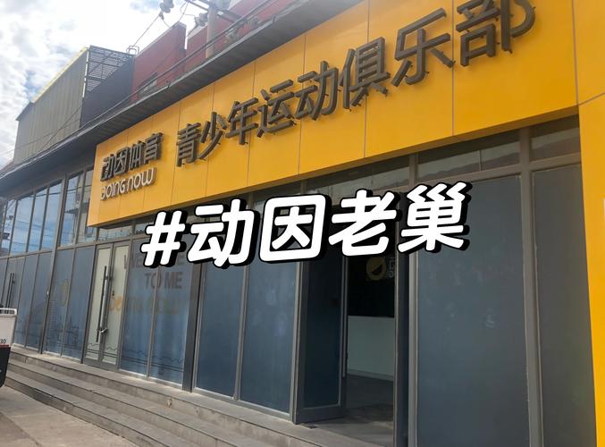 体育赛事运营,设计策略快速解答_整版DKJ656.74
