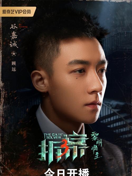 杀出个黎明电视剧在线观看完整版,设计策略快速解答_整版DKJ656.74