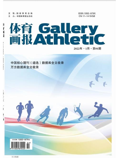 体育类期刊发表,设计策略快速解答_VR型43.237