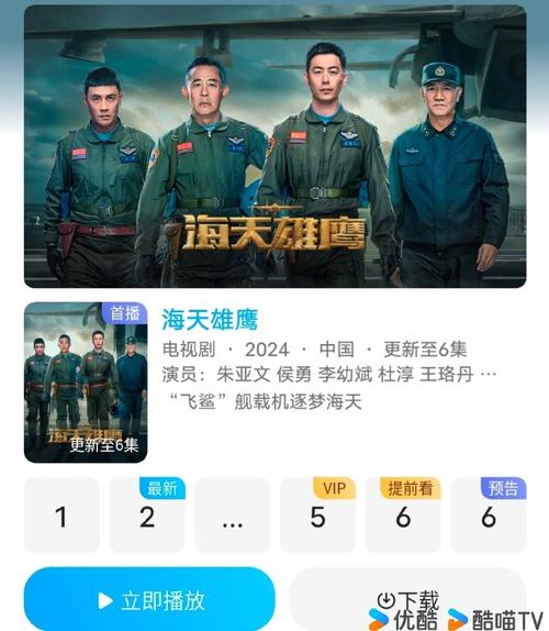海天雄鹰电视剧免费观看星辰影院,设计策略快速解答_VR型43.237
