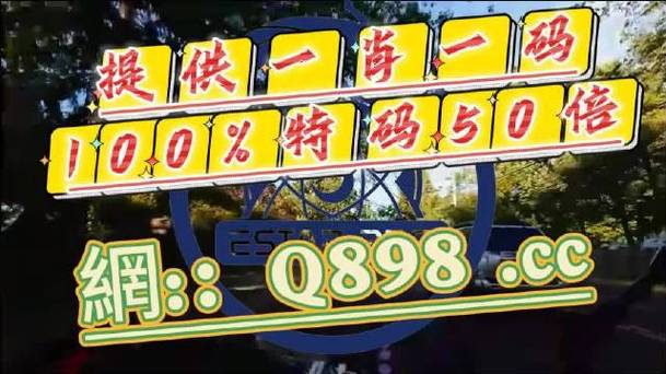 三肖一码期期精准,设计策略快速解答_VR型43.237
