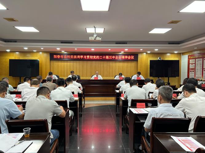 关键时期一次十分重要的会议,设计策略快速解答_整版DKJ656.74