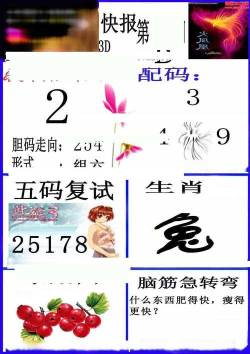 香港澳门半句玄机,设计策略快速解答_VR型43.237