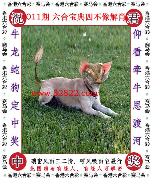 六台宝典香港资料,设计策略快速解答_整版DKJ656.74
