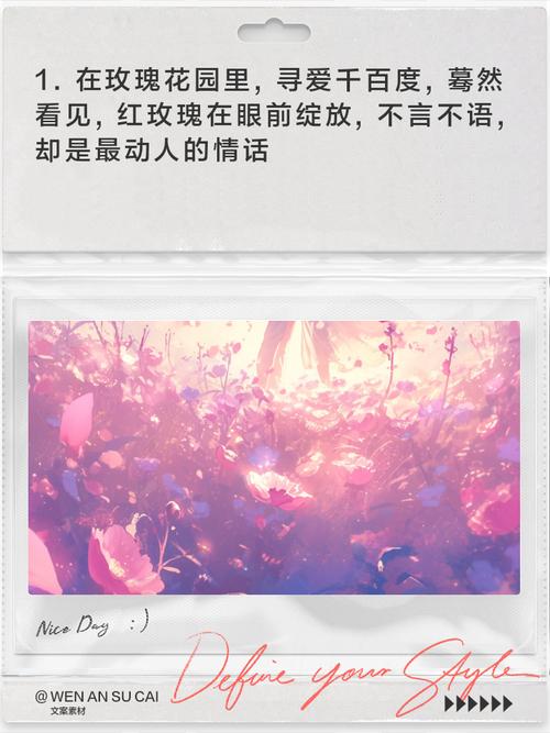 红玫瑰白玫瑰歌词,设计策略快速解答_VR型43.237